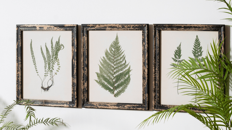 Art & Prints - Darlington's Décor