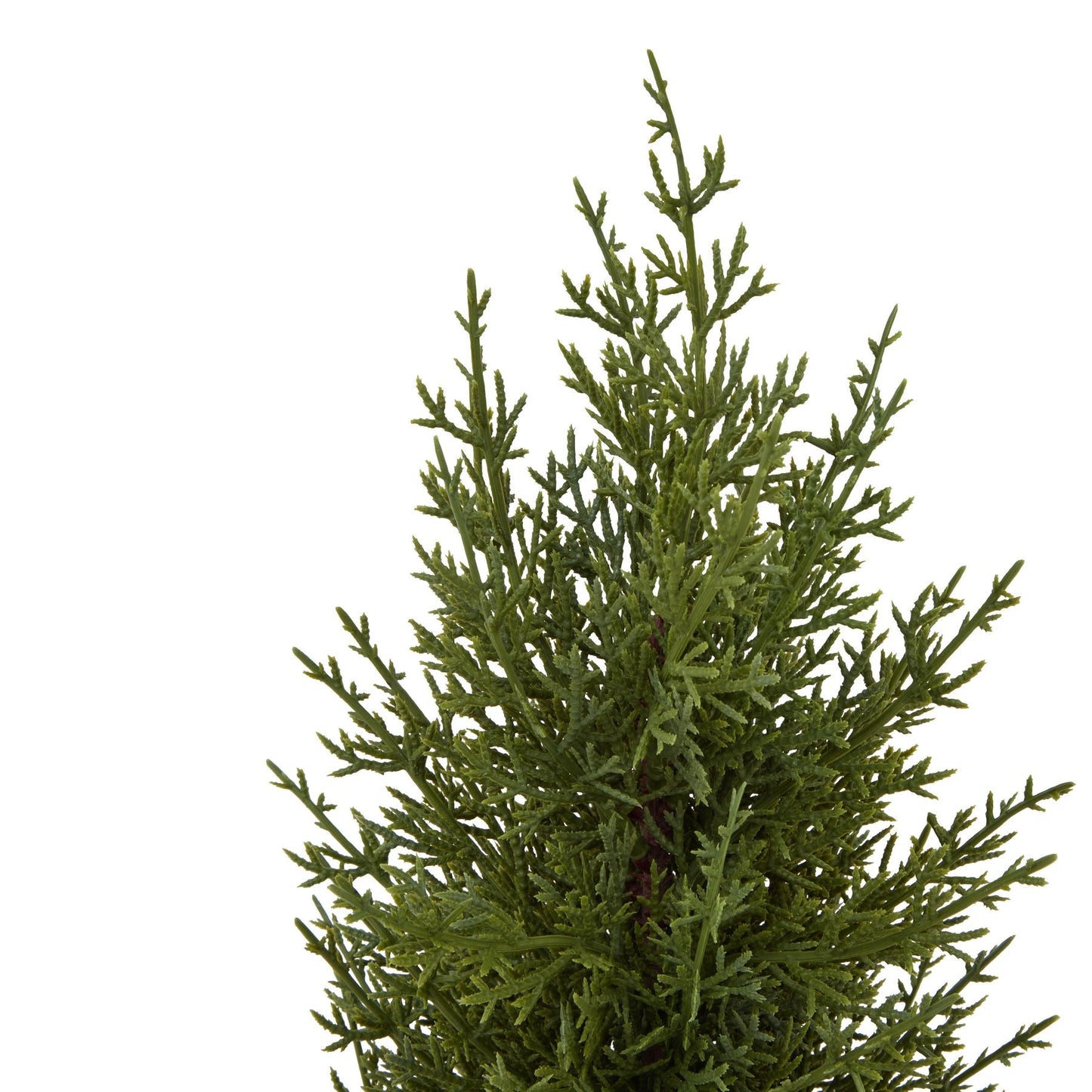 Charming Small Green Fir Tree In Wood Log Base - Darlington's Décor