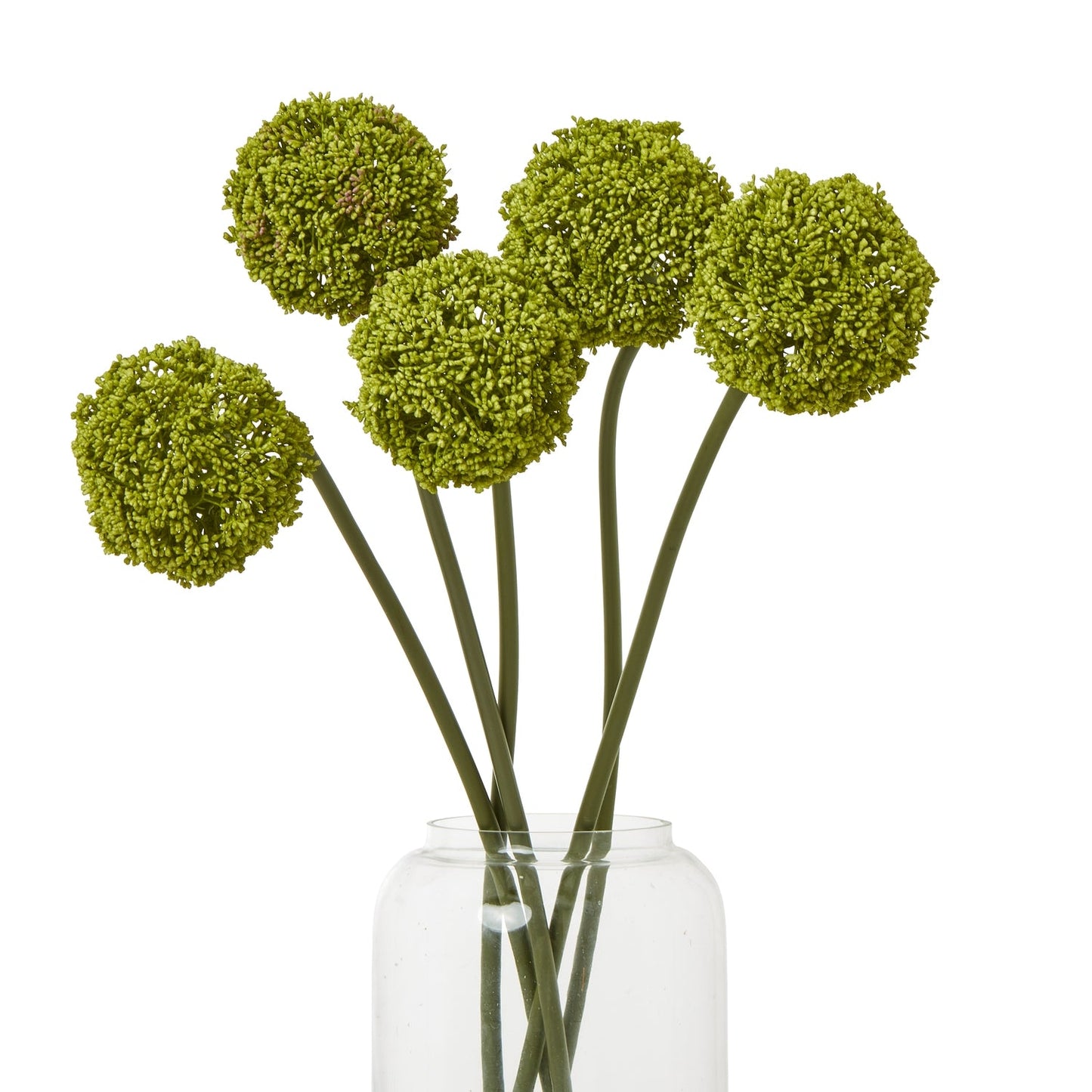 Elegant Green Allium Stem for Stunning Arrangements - Darlington's Décor