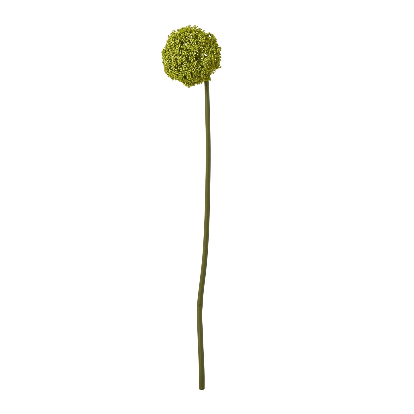 Elegant Green Allium Stem for Stunning Arrangements - Darlington's Décor