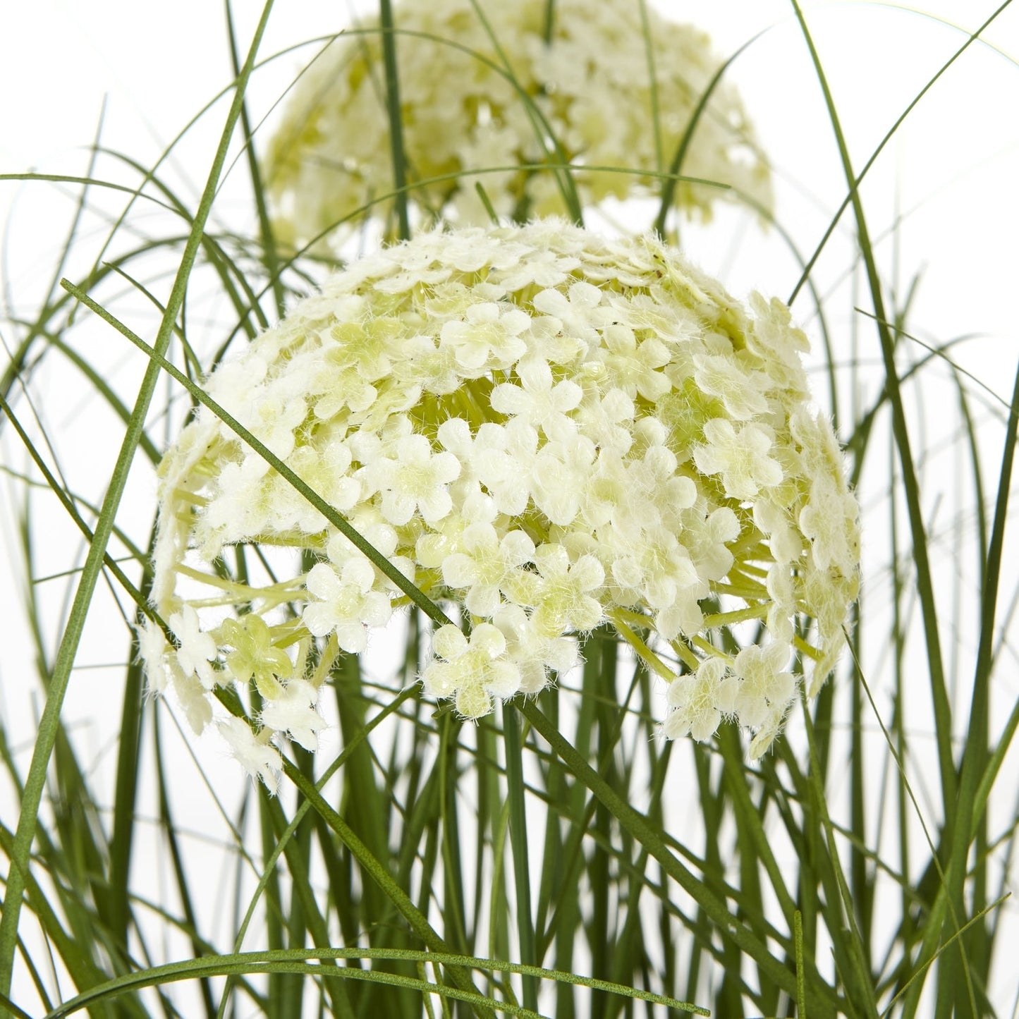 Elegant Large White Allium Plant In Pot Decor - Darlington's Décor