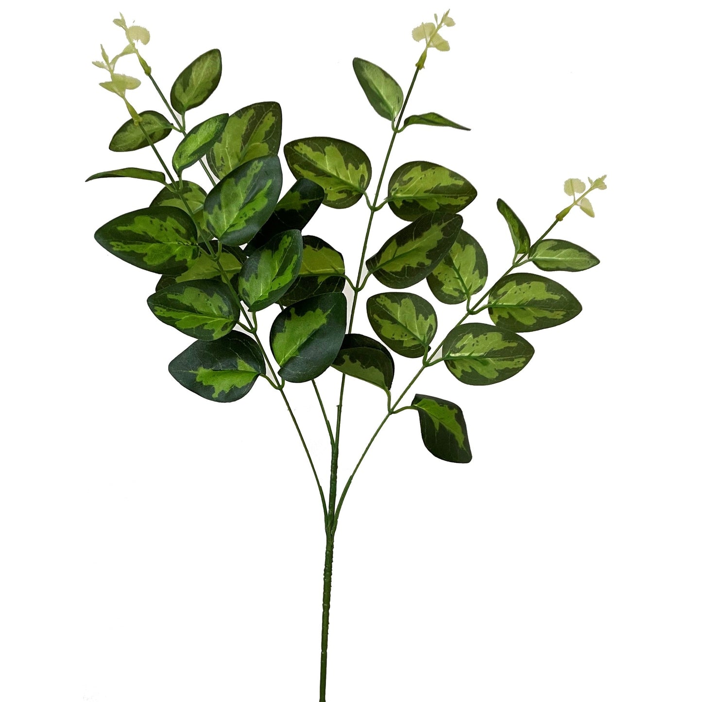 Elegant Variegated Leaf Spray for Stunning Arrangements - Darlington's Décor