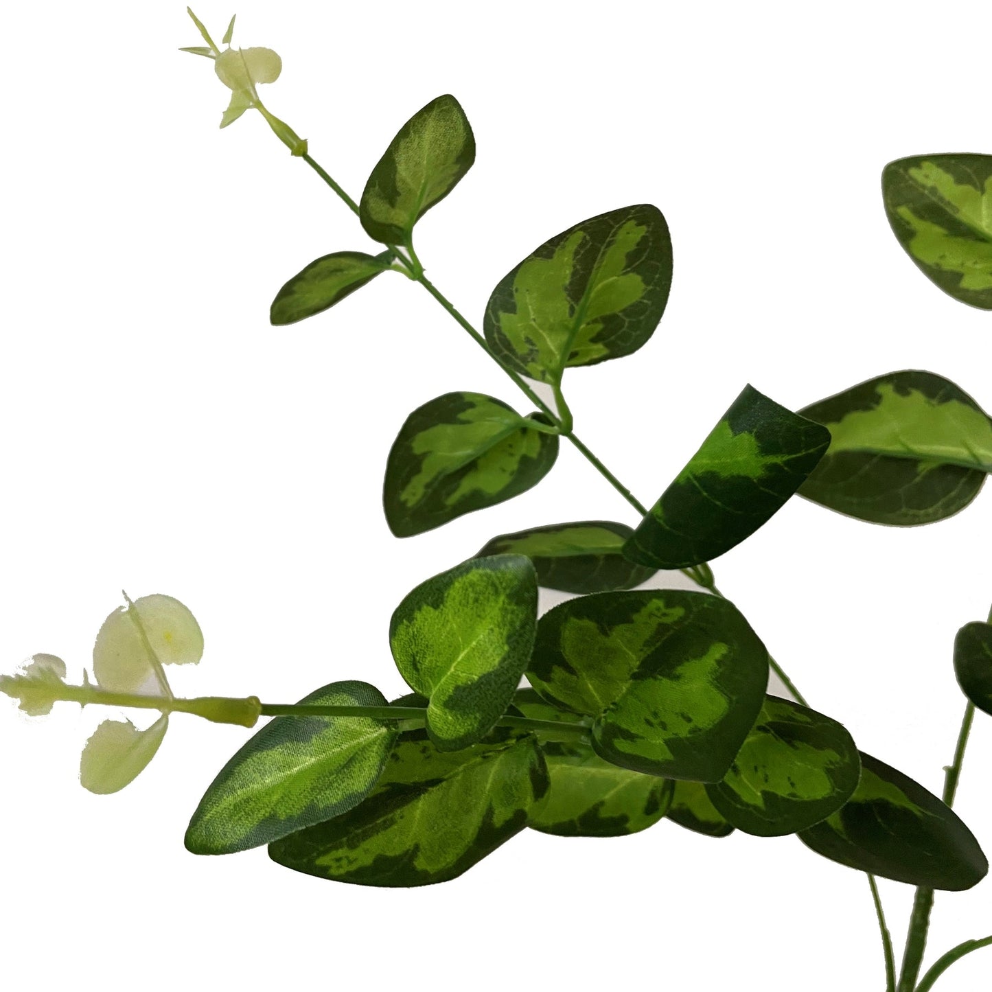 Elegant Variegated Leaf Spray for Stunning Arrangements - Darlington's Décor