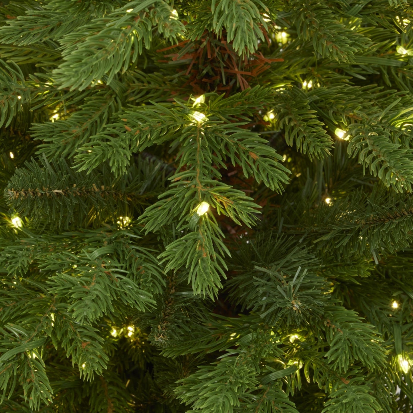 Green Forest Fir Pre - Lit Led 300L Christmas Tree In Pot - Darlington's Décor