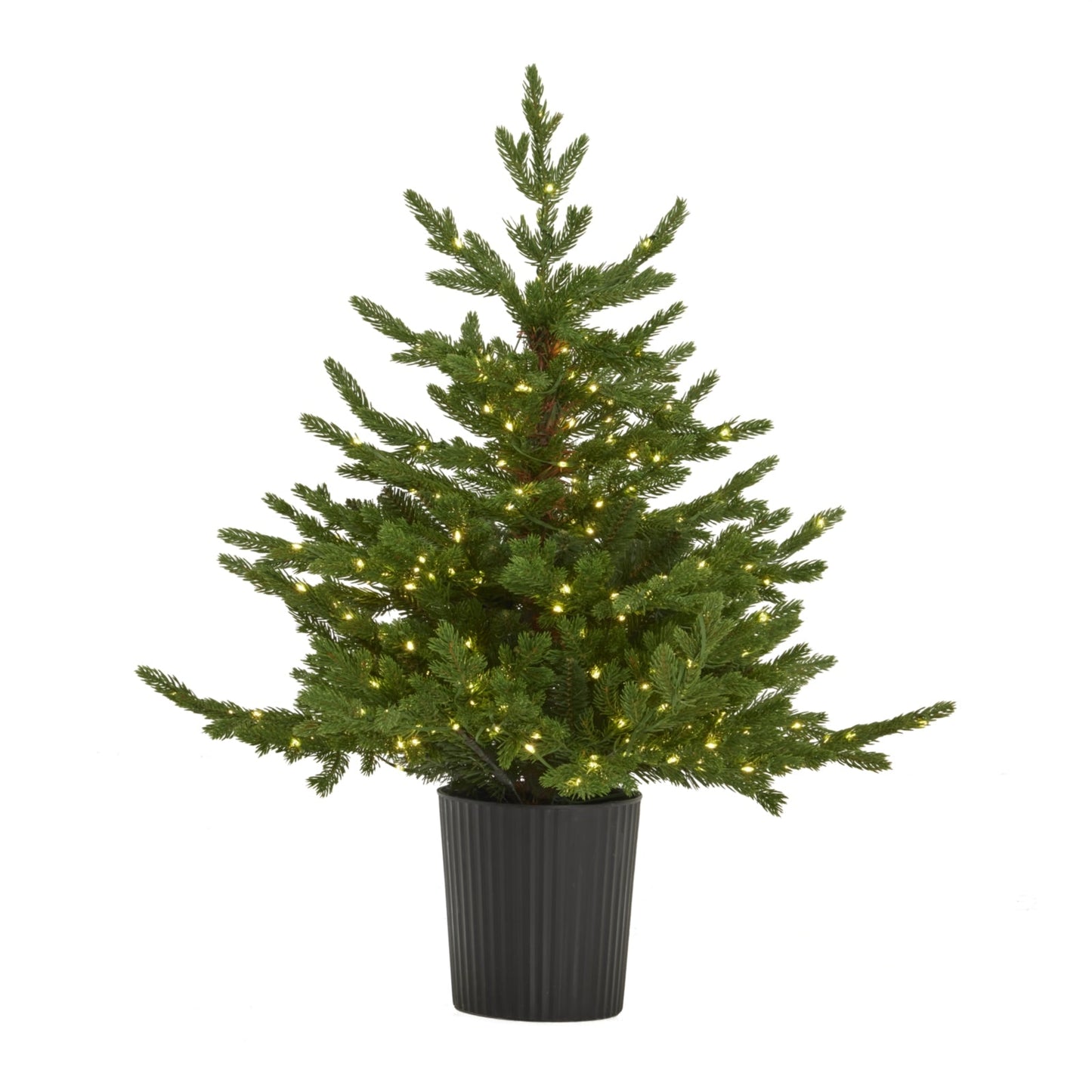 Green Forest Fir Pre - Lit Led 300L Christmas Tree In Pot - Darlington's Décor
