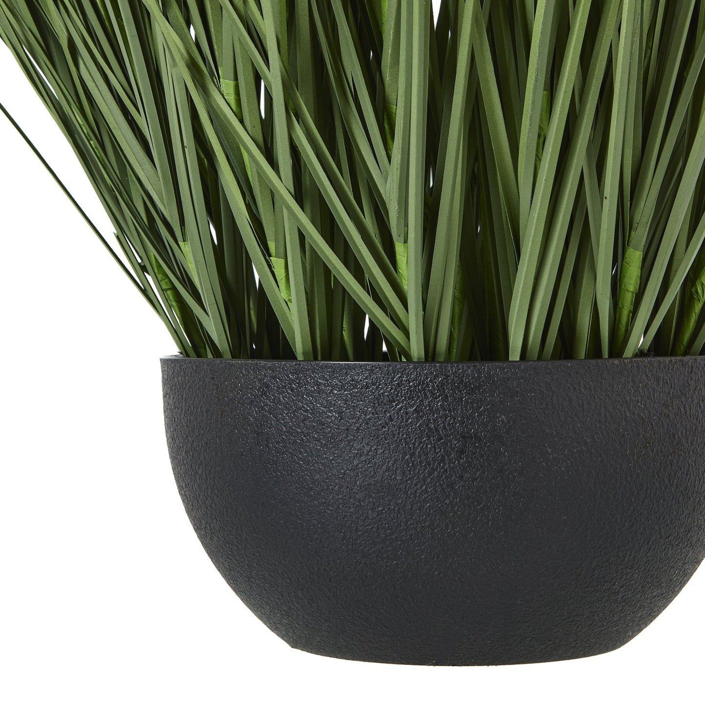 Lush Large Onion Grass Plant In Pot For Elegant Spaces - Darlington's Décor