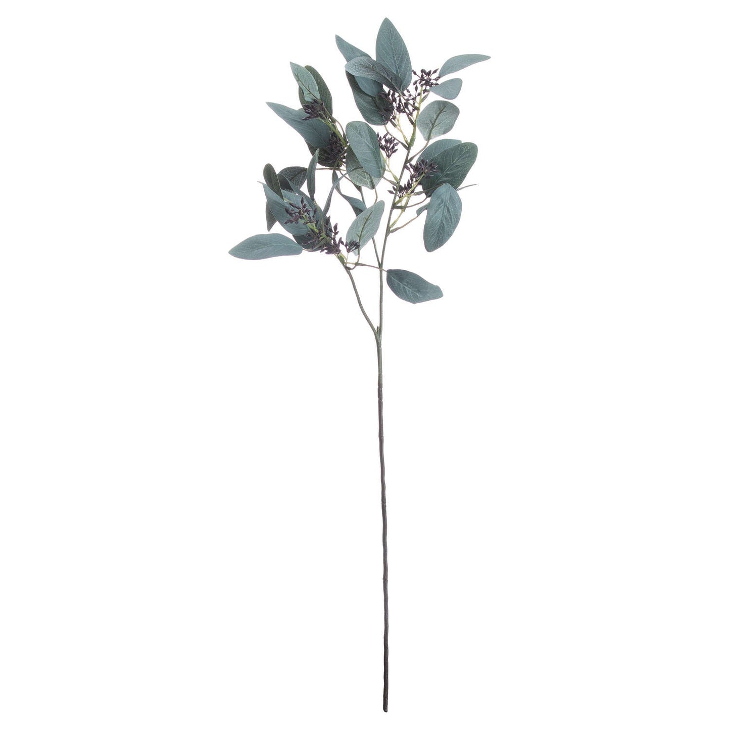 Seeded Eucalyptus Stem for Lush Botanical Decor - Darlington's Décor