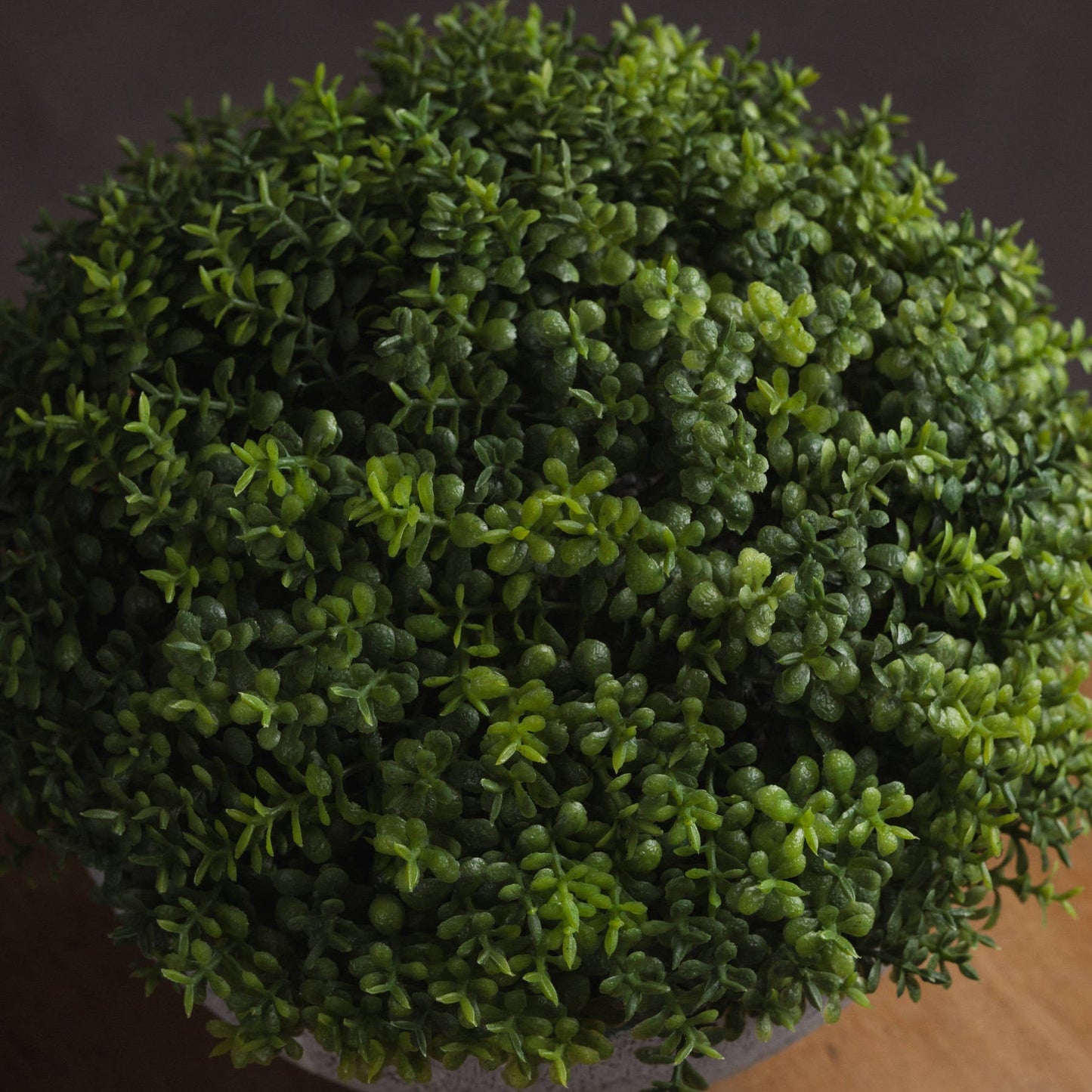 Small Hebe Globe Pot for Effortless Indoor Elegance - Darlington's Décor
