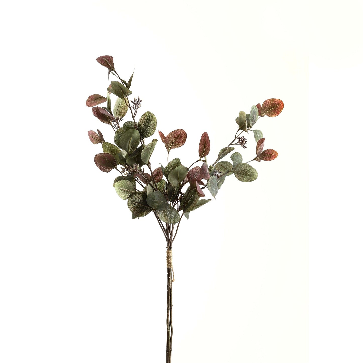 Stunning Variegated Eucalyptus Bouquet for Elegant Displays - Darlington's Décor