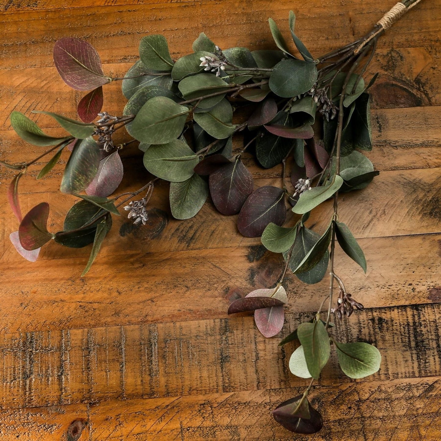 Stunning Variegated Eucalyptus Bouquet for Elegant Displays - Darlington's Décor