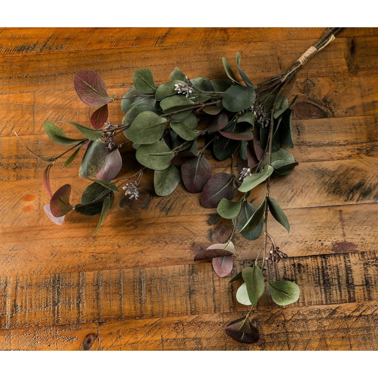 Stunning Variegated Eucalyptus Bouquet for Elegant Displays - Darlington's Décor