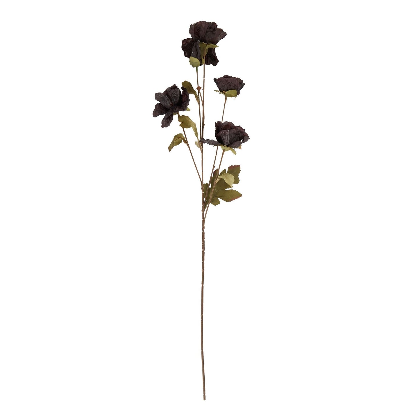 Tall Black Poppy Stem for Bold Floral Arrangements - Darlington's Décor