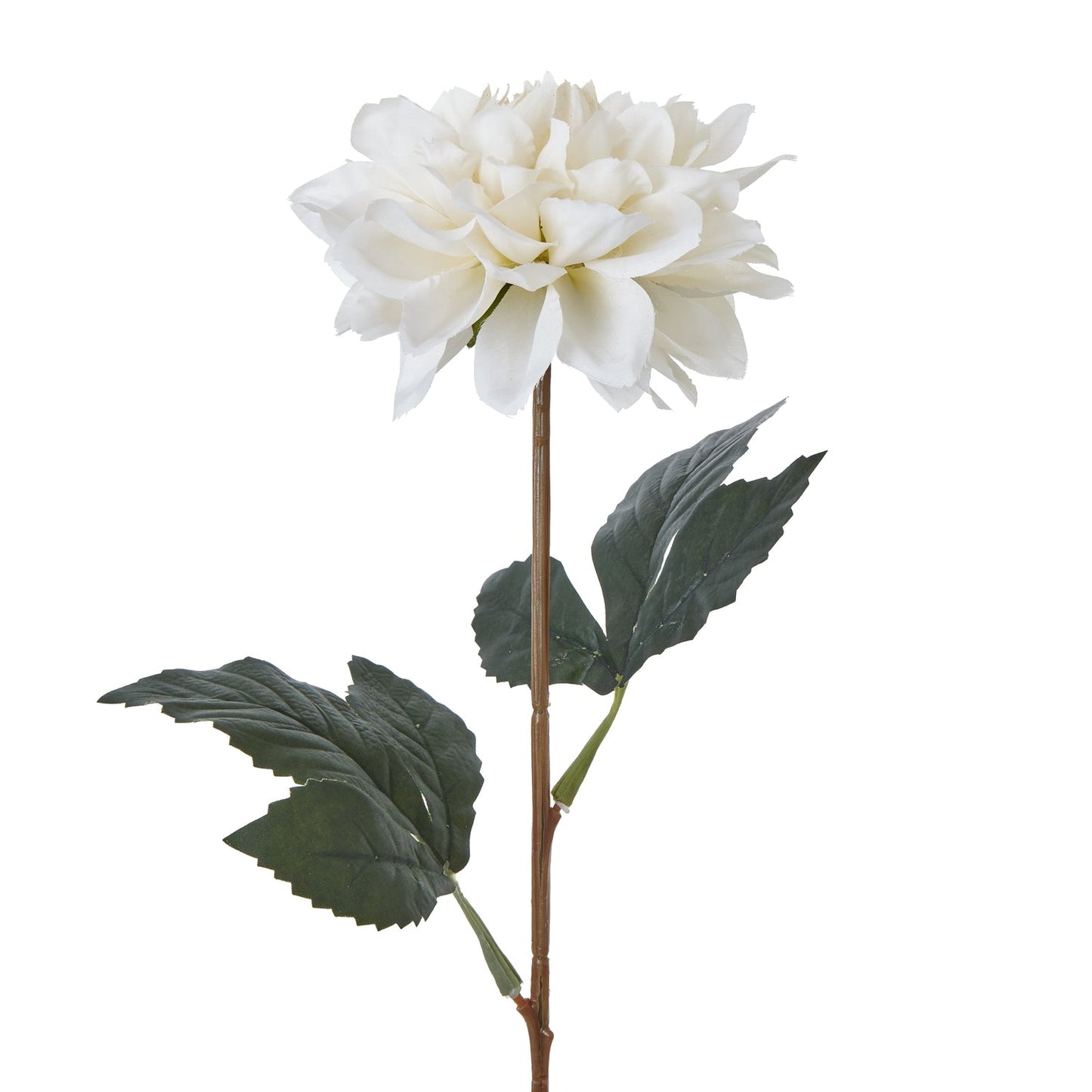The Natural Garden Collection Tall White Dahlia Elegance - Darlington's Décor