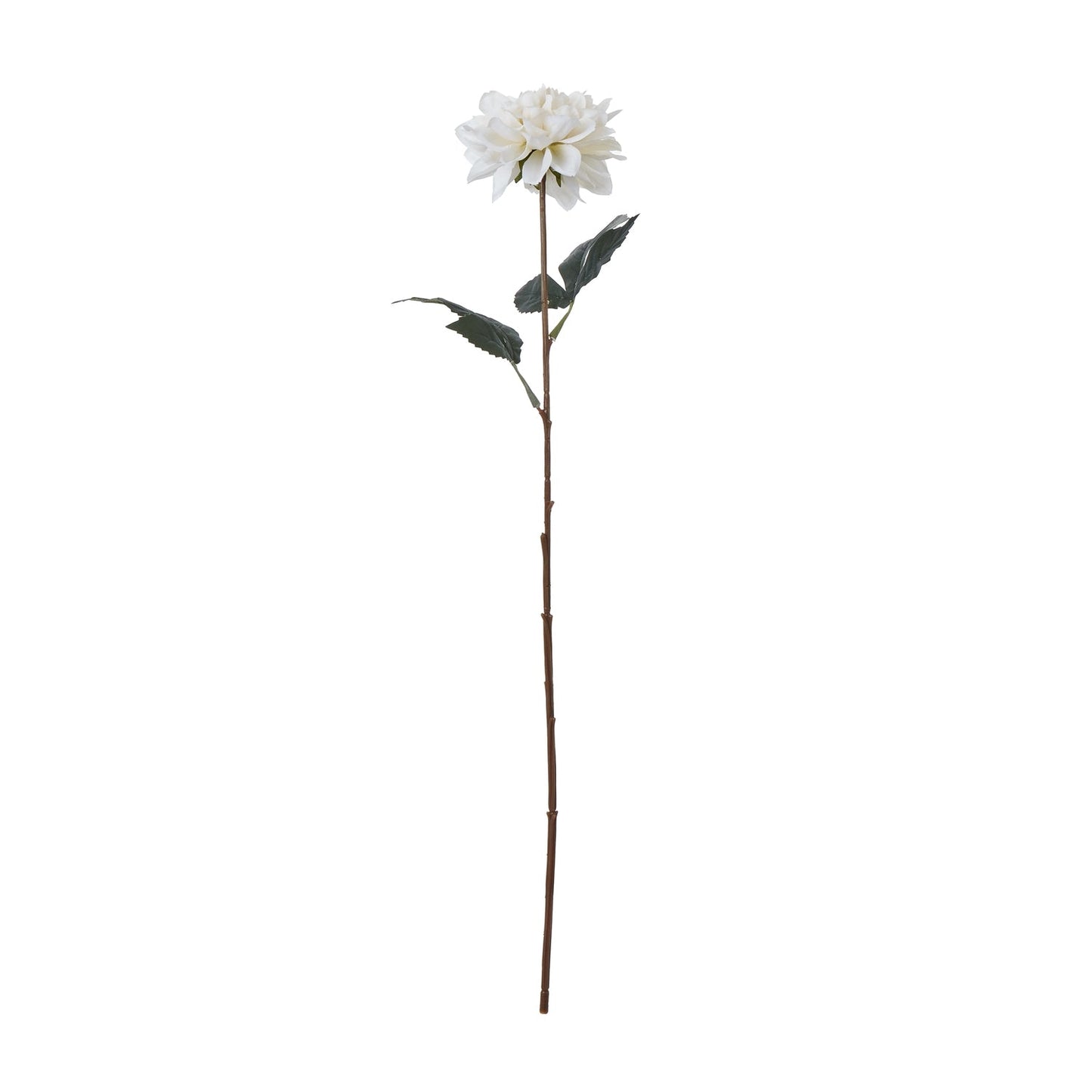 The Natural Garden Collection Tall White Dahlia Elegance - Darlington's Décor