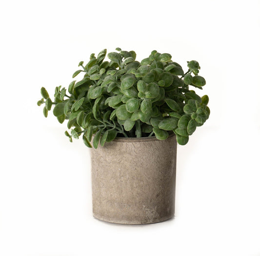 Basil Plant In Stone Effect Pot For Elegant Decor - Darlington's Décor