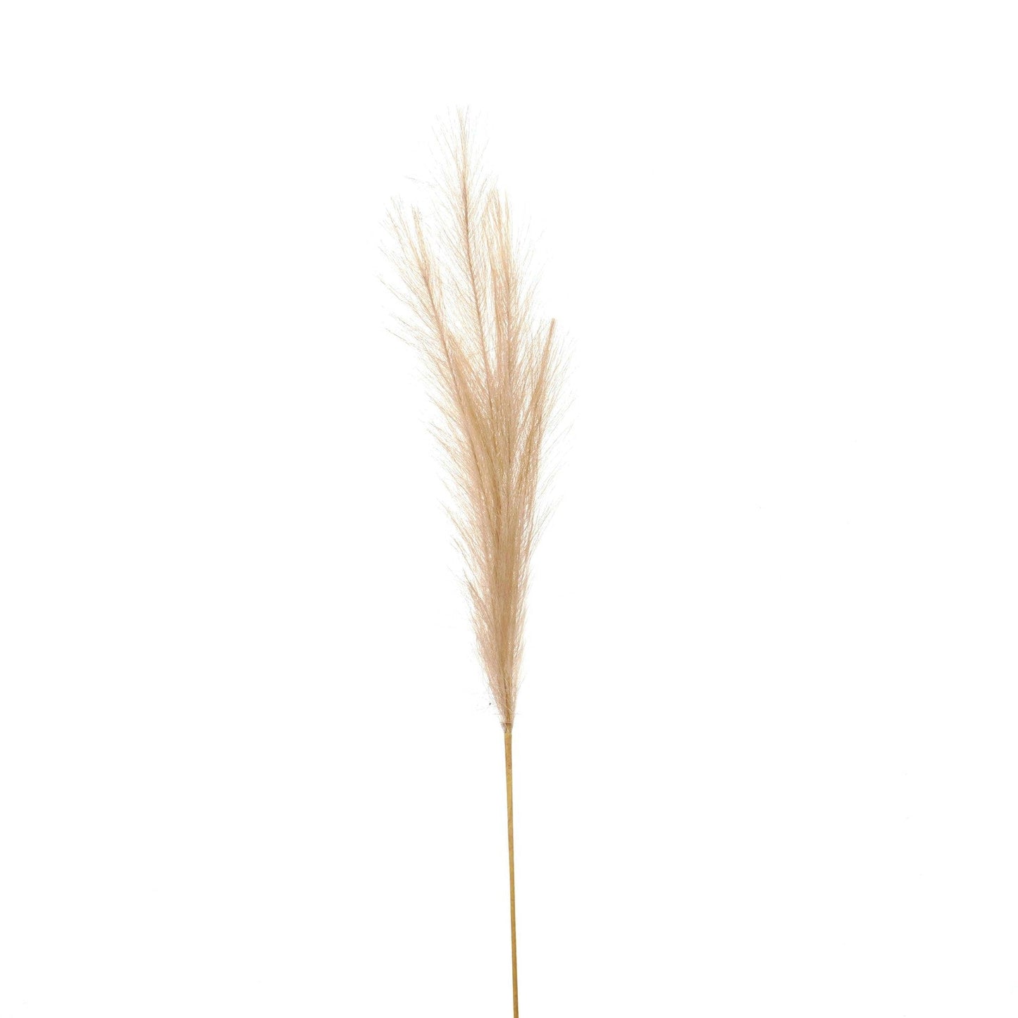 Bleached Faux Pampas Grass Stem for Timeless Decor - Darlington's Décor