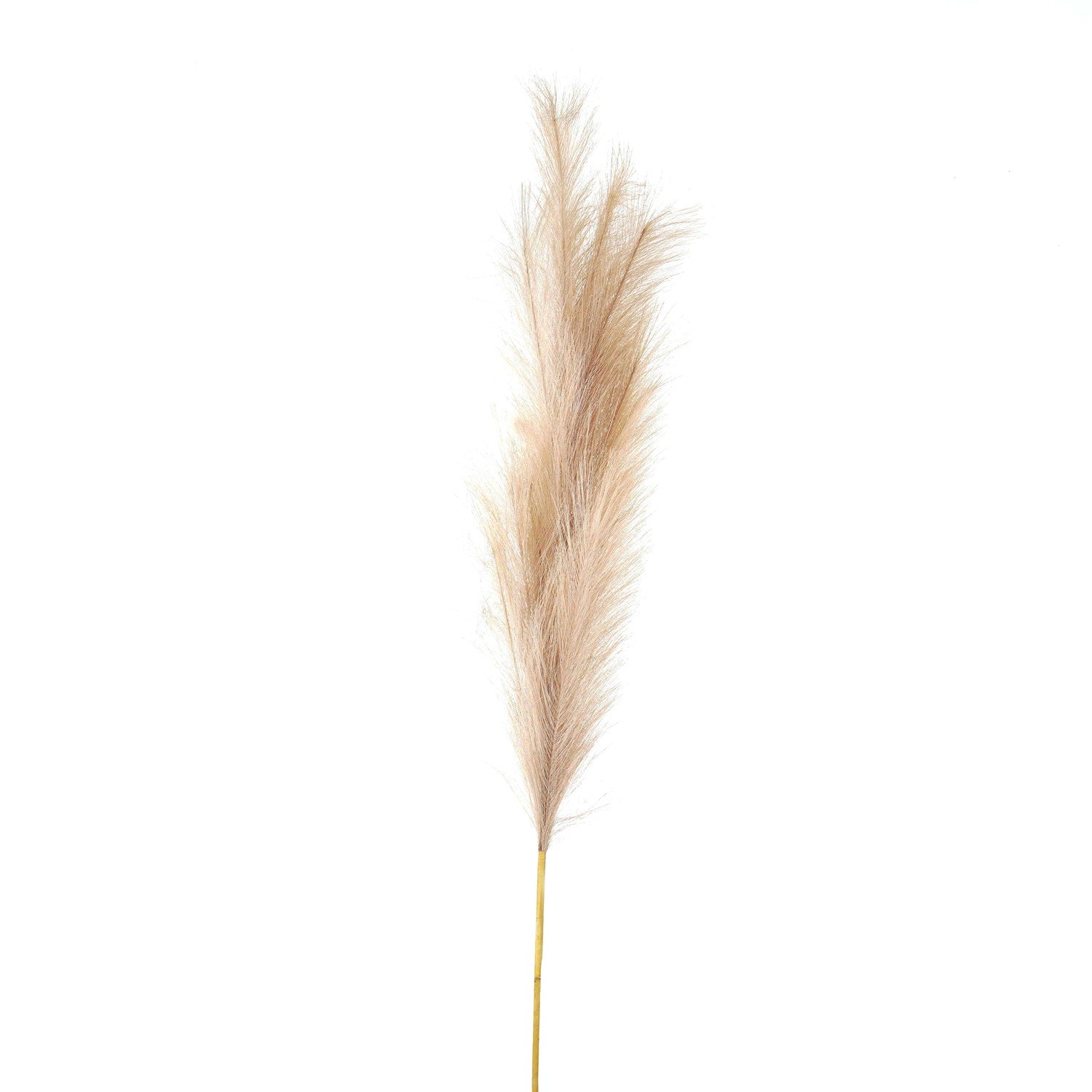 Bleached Large Faux Pampas Grass Stem for Effortless Elegance - Darlington's Décor