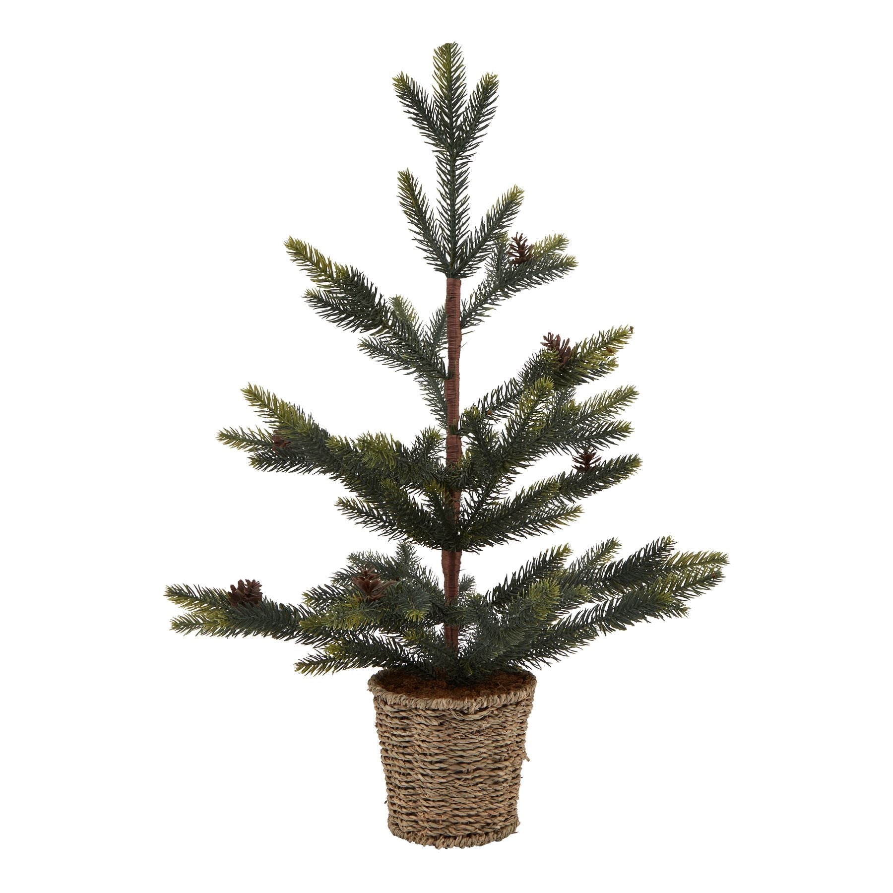 Charming Medium Spruce Tree With Wicker Basket - Darlington's Décor