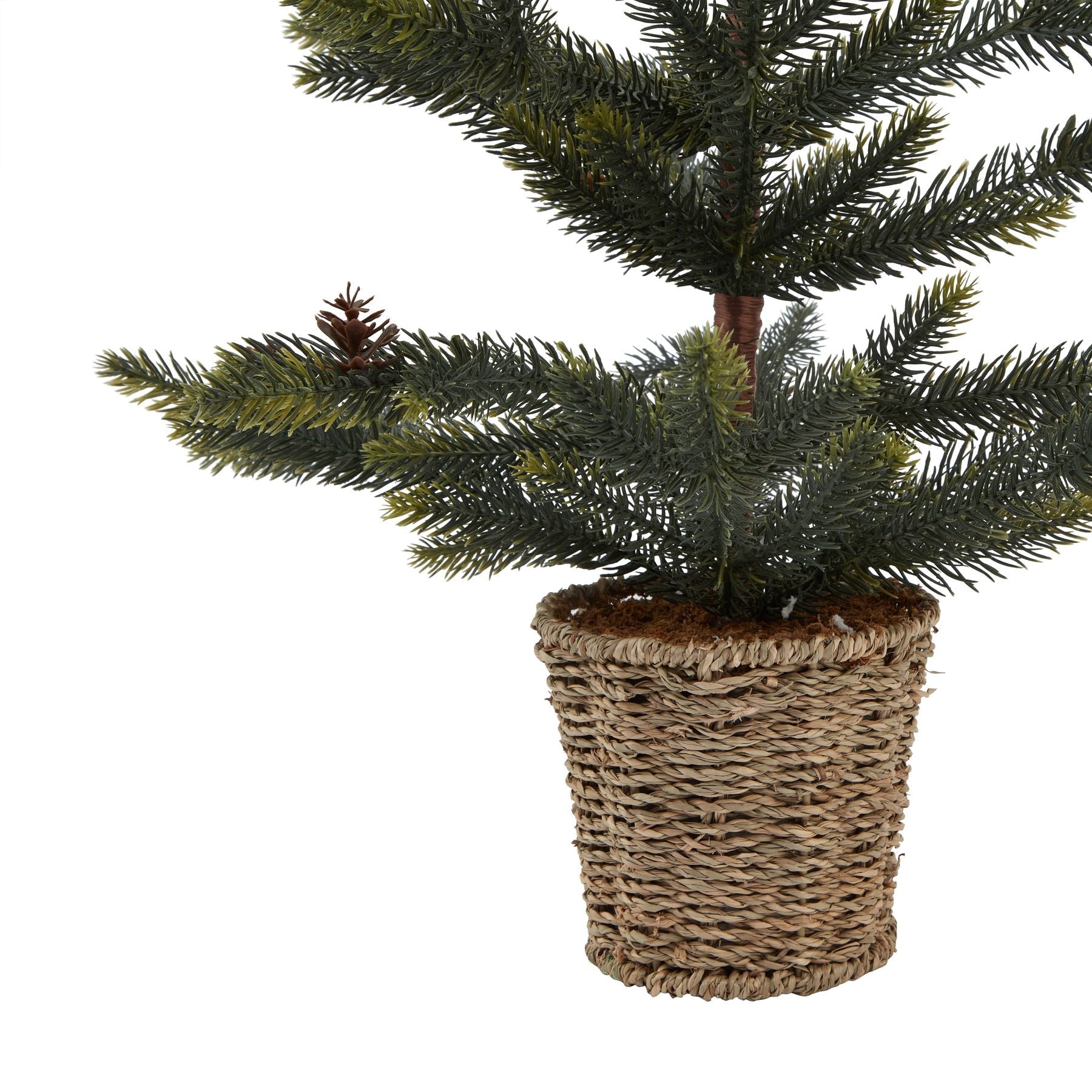 Charming Medium Spruce Tree With Wicker Basket - Darlington's Décor