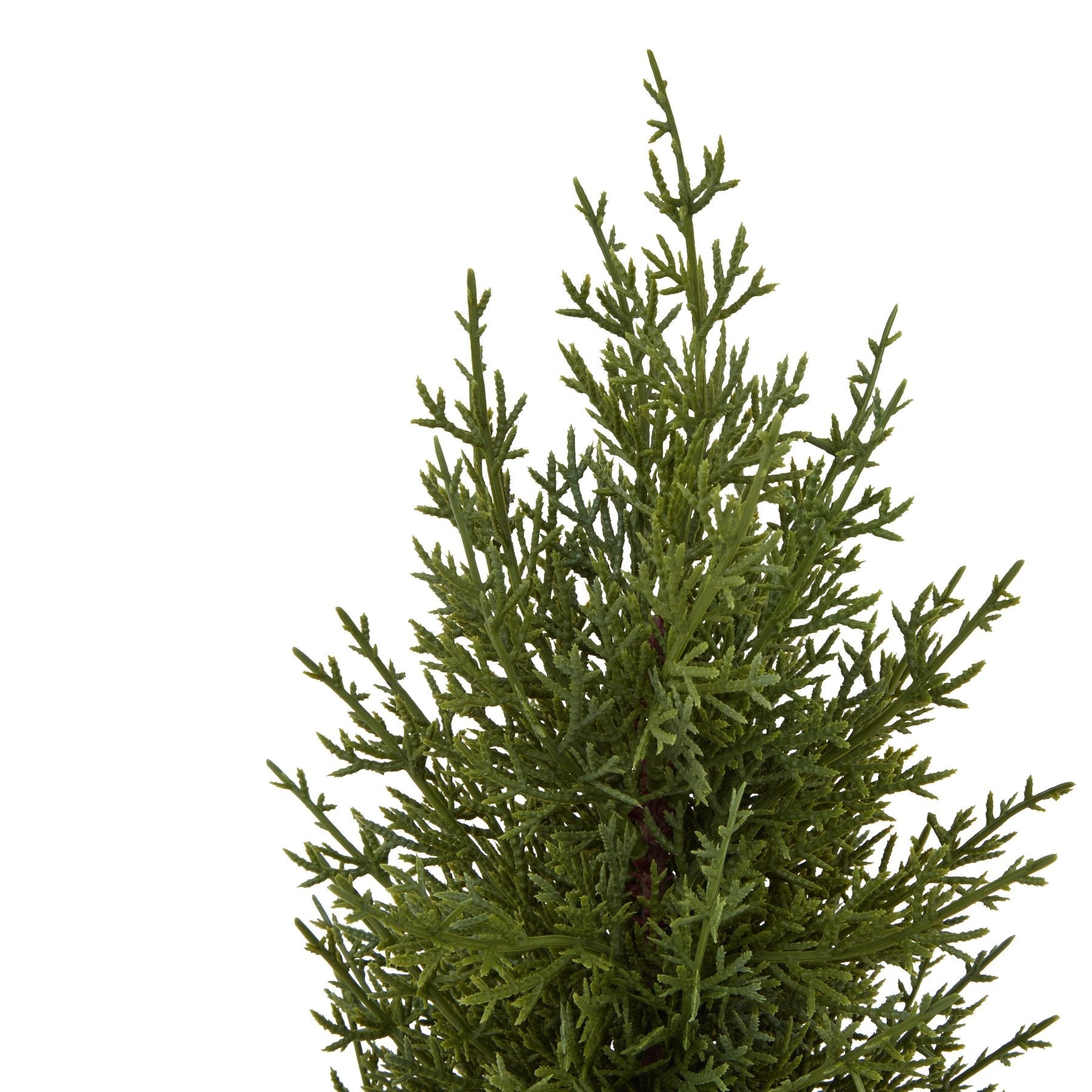Charming Small Green Fir Tree In Wood Log Base - Darlington's Décor