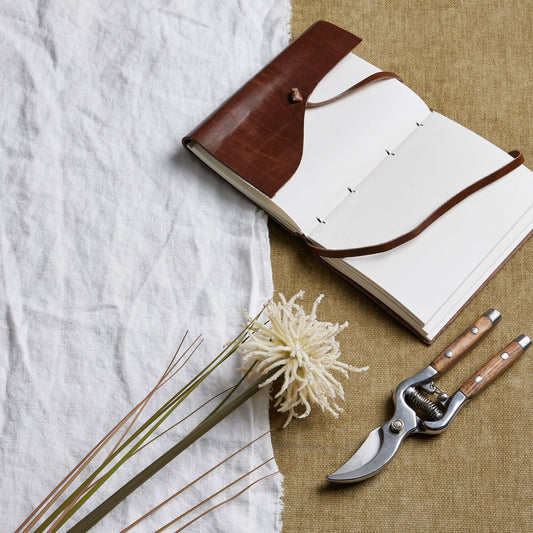 Cream Aster Spider Chrysanthemum Stem for Elegant Decor - Darlington's Décor