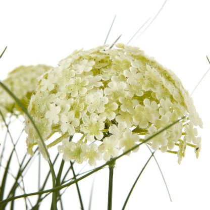 Elegant White Allium Plant In Pot for Effortless Style - Darlington's Décor
