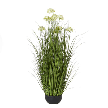 Elegant White Allium Plant In Pot for Effortless Style - Darlington's Décor