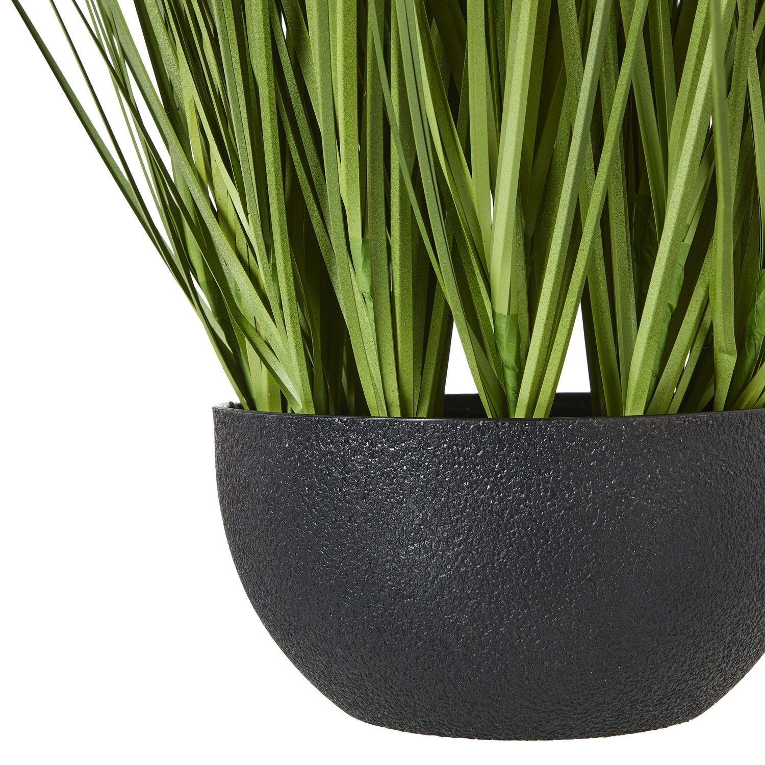 Elegant White Allium Plant In Pot for Effortless Style - Darlington's Décor