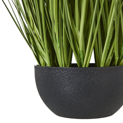 Elegant White Allium Plant In Pot for Effortless Style - Darlington's Décor