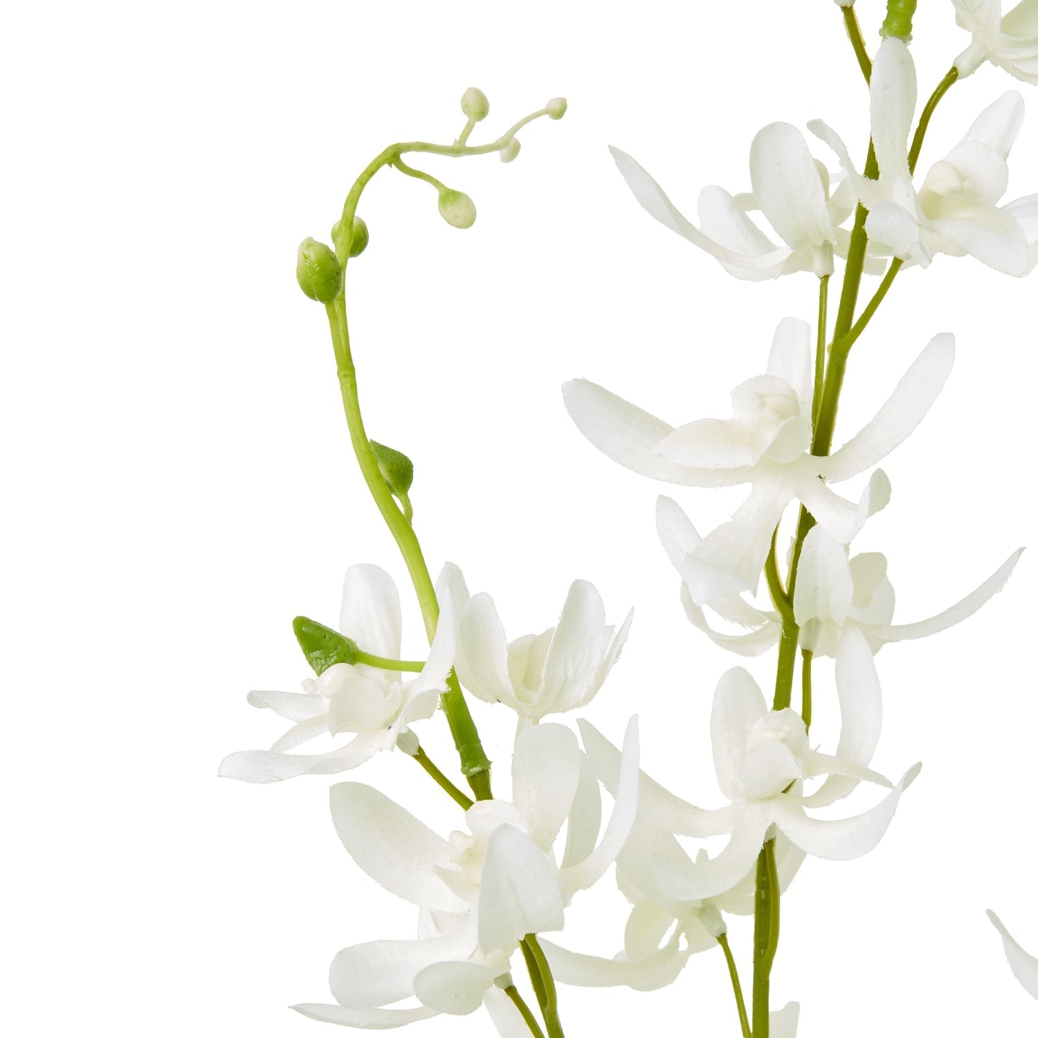 Elegant White Cymbidium Spray for Timeless Decor - Darlington's Décor