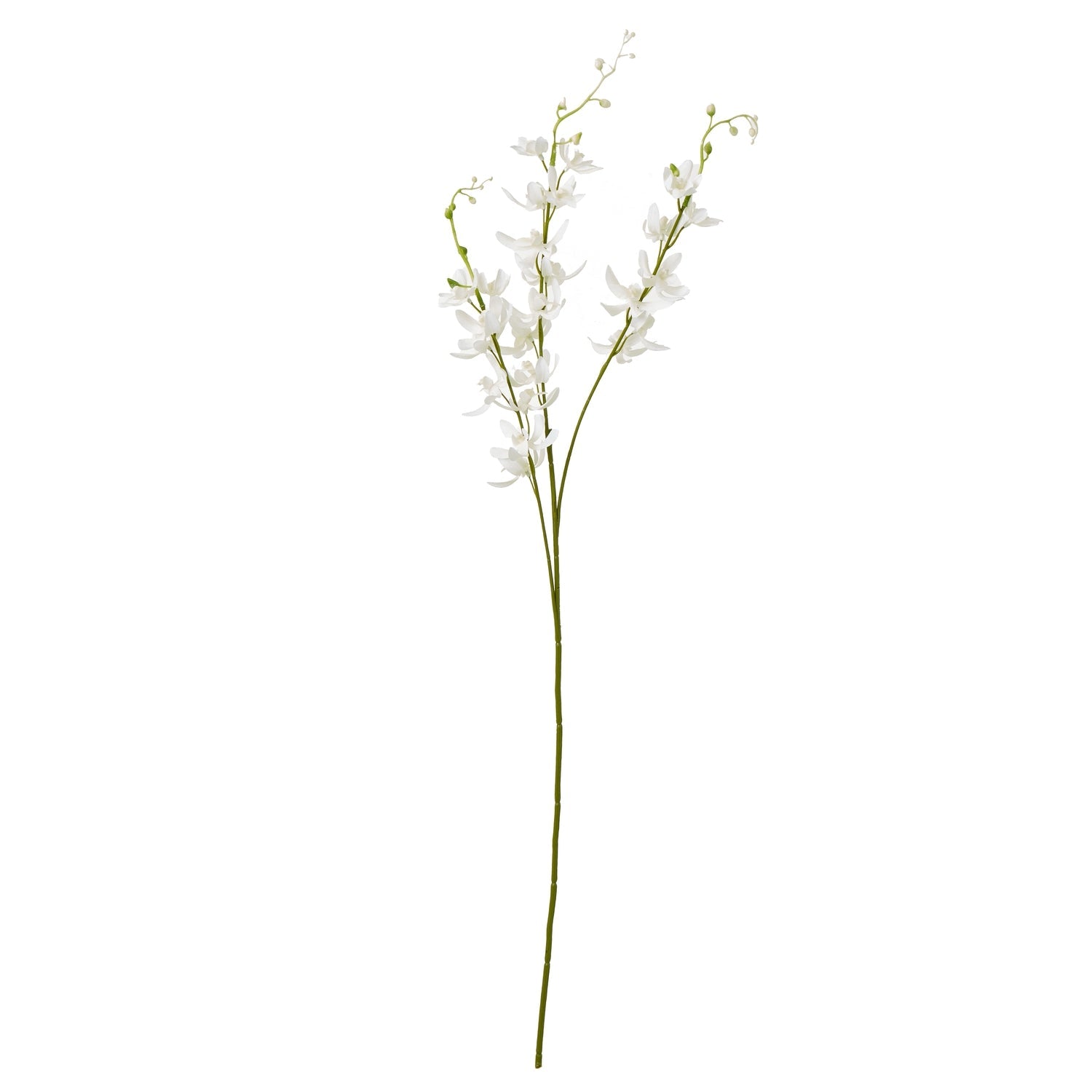 Elegant White Cymbidium Spray for Timeless Decor - Darlington's Décor
