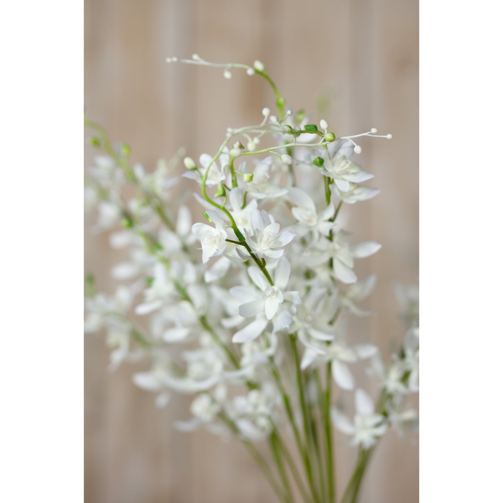 Elegant White Cymbidium Spray for Timeless Decor - Darlington's Décor