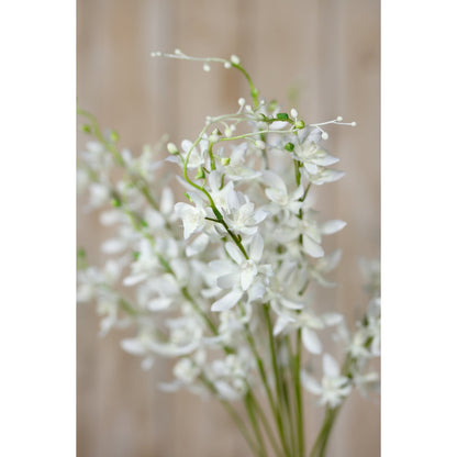Elegant White Cymbidium Spray for Timeless Decor - Darlington's Décor