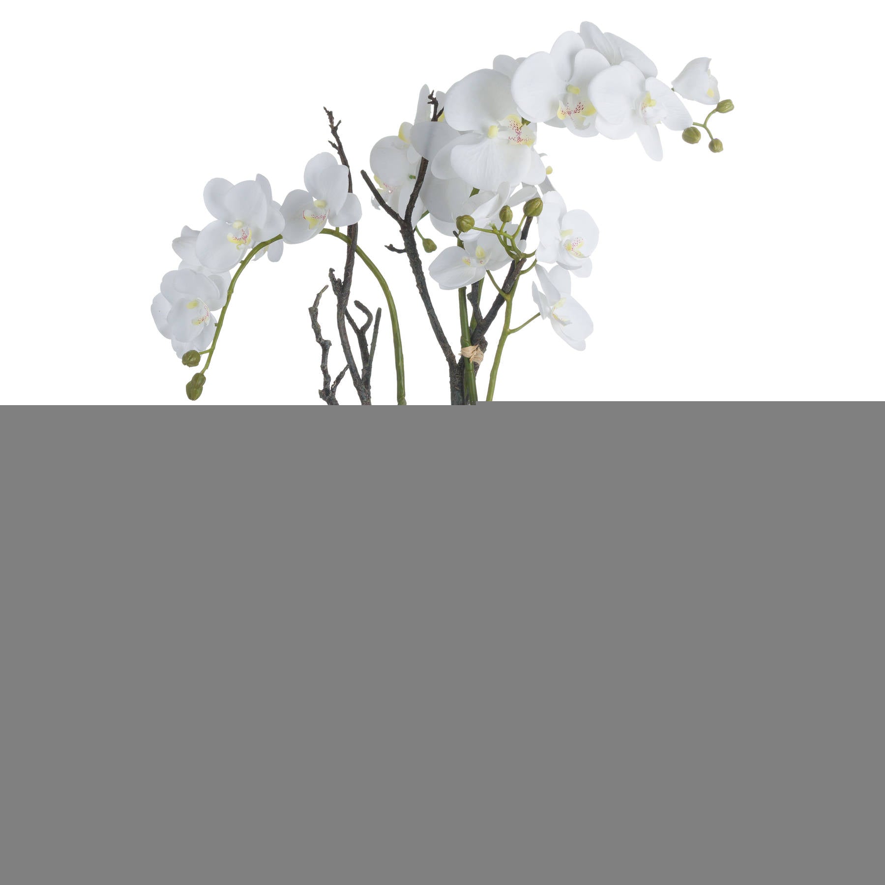 Elegant White Orchid In Stone Pot For Home Décor - Darlington's Décor
