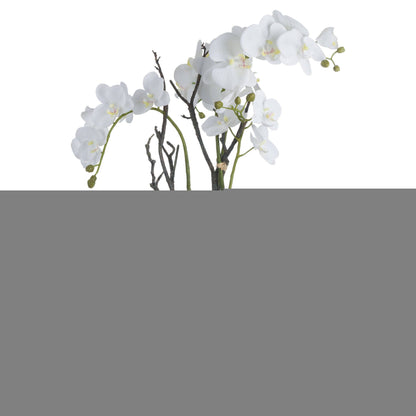 Elegant White Orchid In Stone Pot For Home Décor - Darlington's Décor