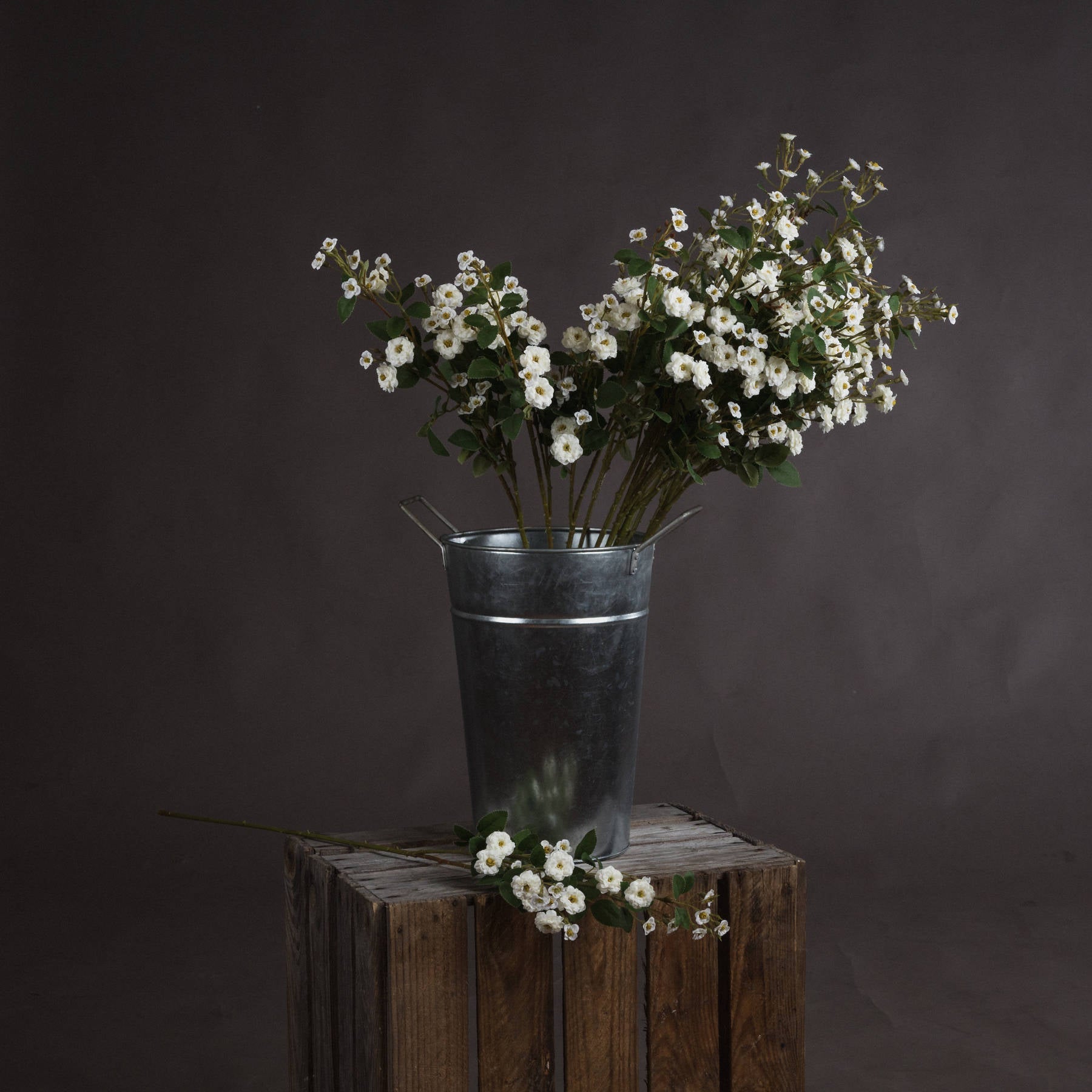 Elegant White Wild Meadow Rose for Timeless Decor - Darlington's Décor