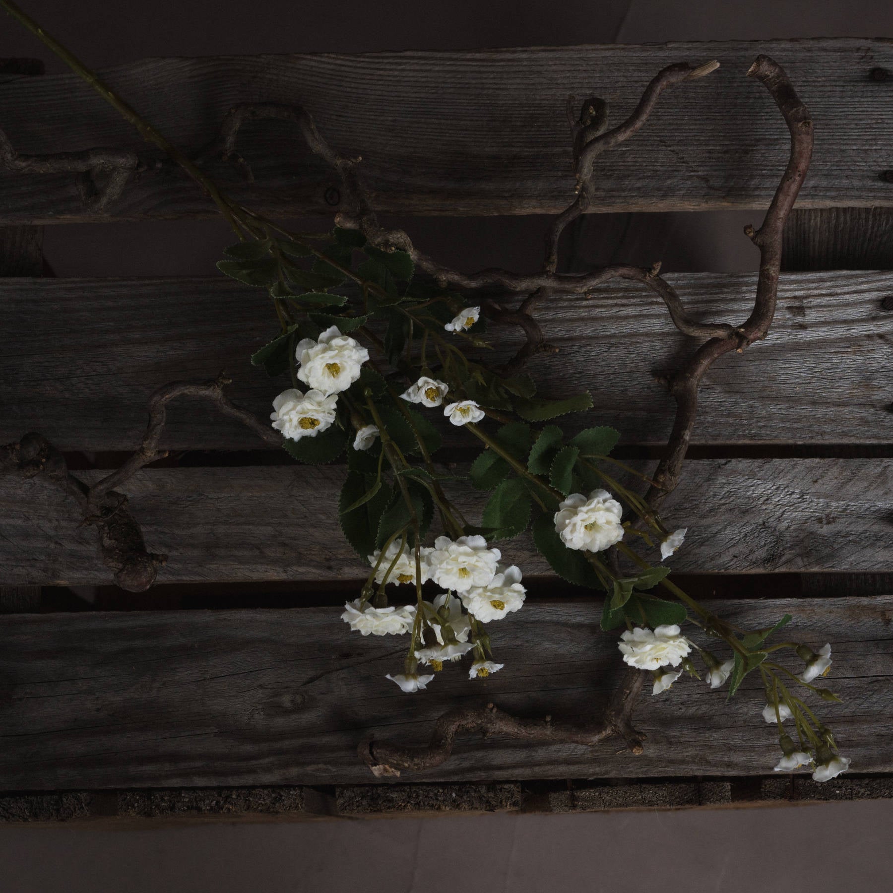 Elegant White Wild Meadow Rose for Timeless Decor - Darlington's Décor