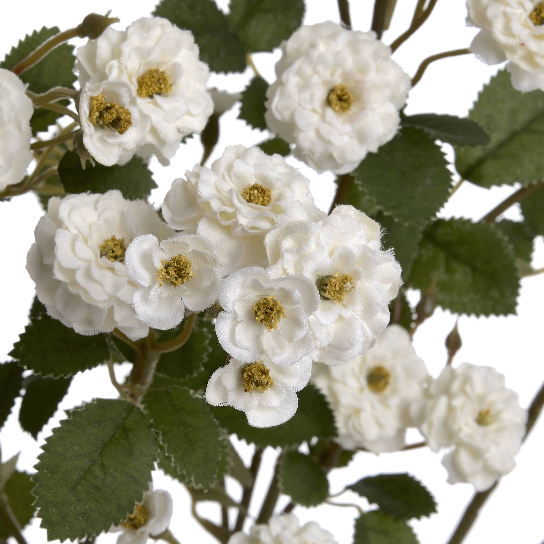 Elegant White Wild Meadow Rose for Timeless Decor - Darlington's Décor