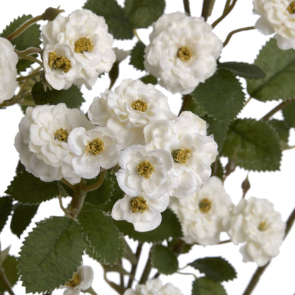 Elegant White Wild Meadow Rose for Timeless Decor - Darlington's Décor