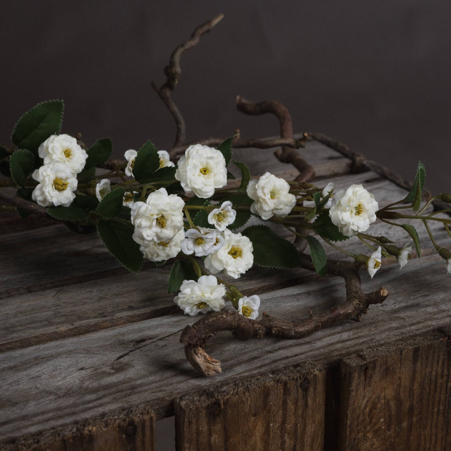 Elegant White Wild Meadow Rose for Timeless Decor - Darlington's Décor
