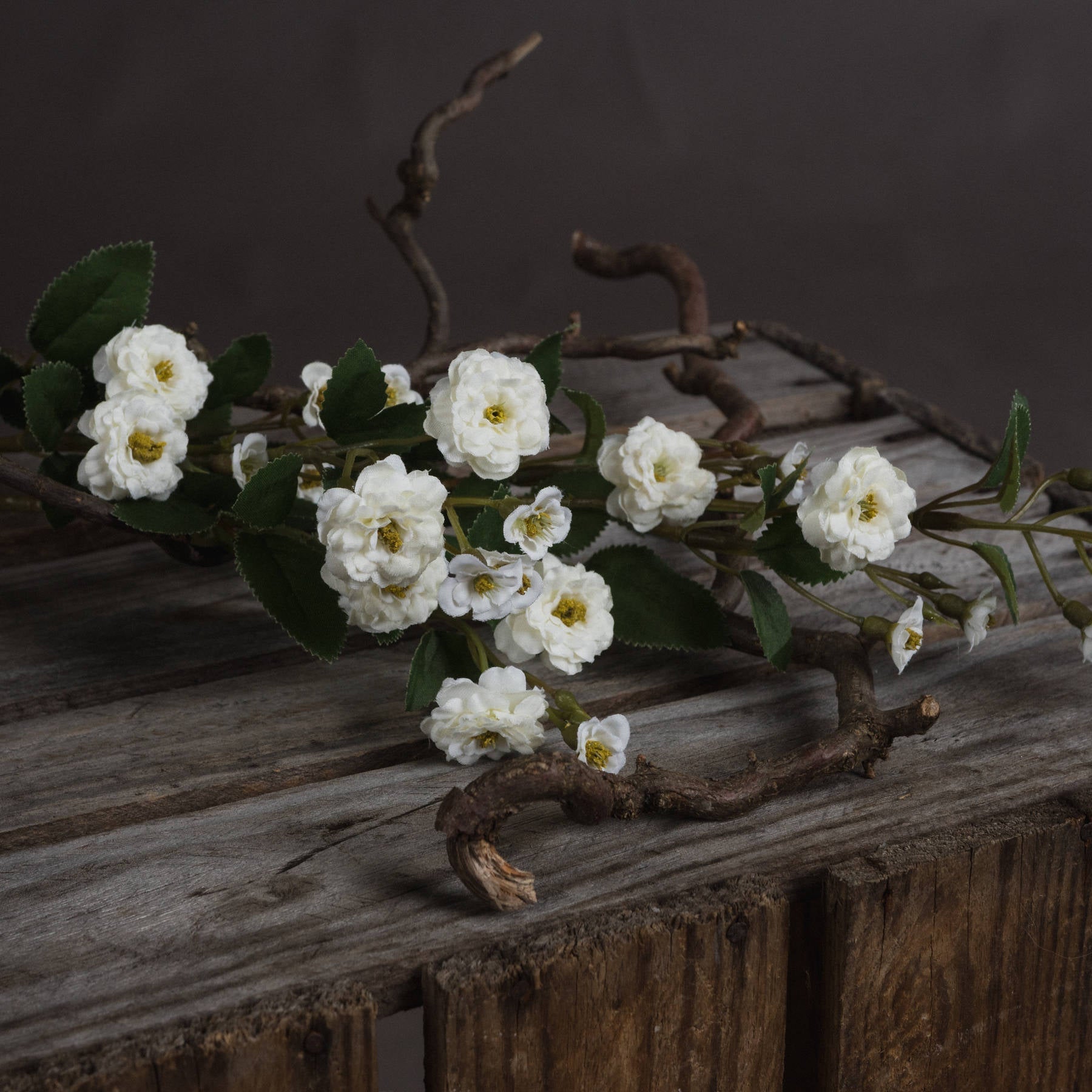 Elegant White Wild Meadow Rose for Timeless Decor - Darlington's Décor
