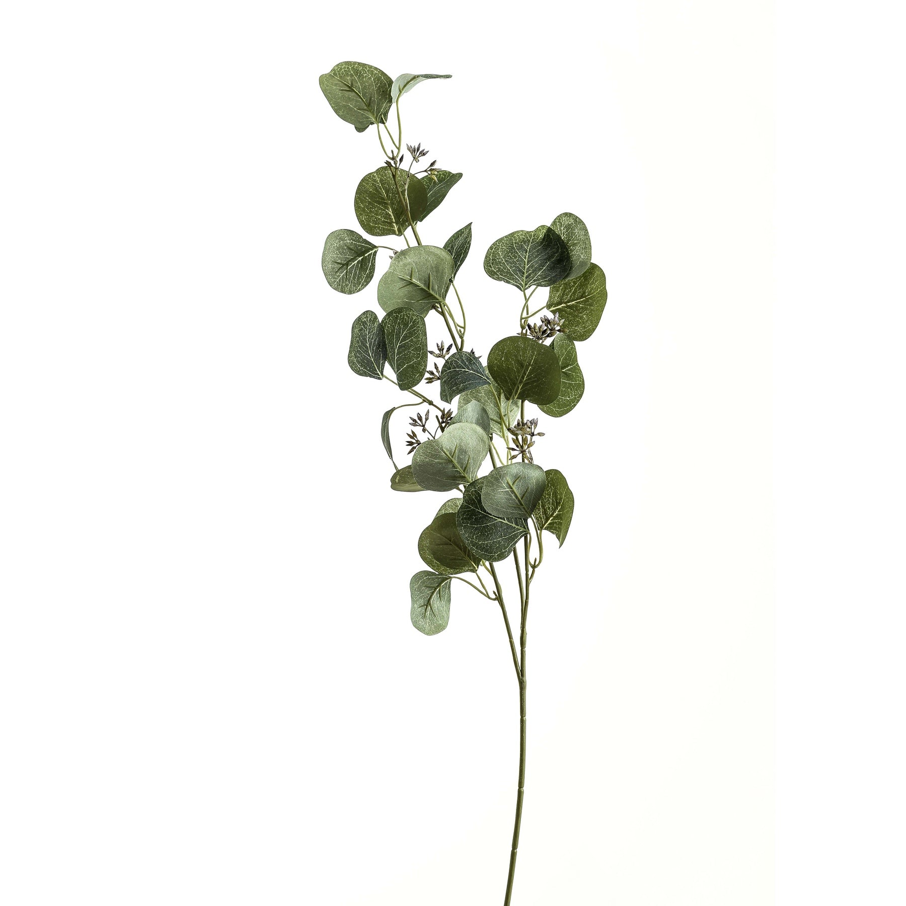 Eucalyptus Stem Spray for Refreshing Home Decor - Darlington's Décor