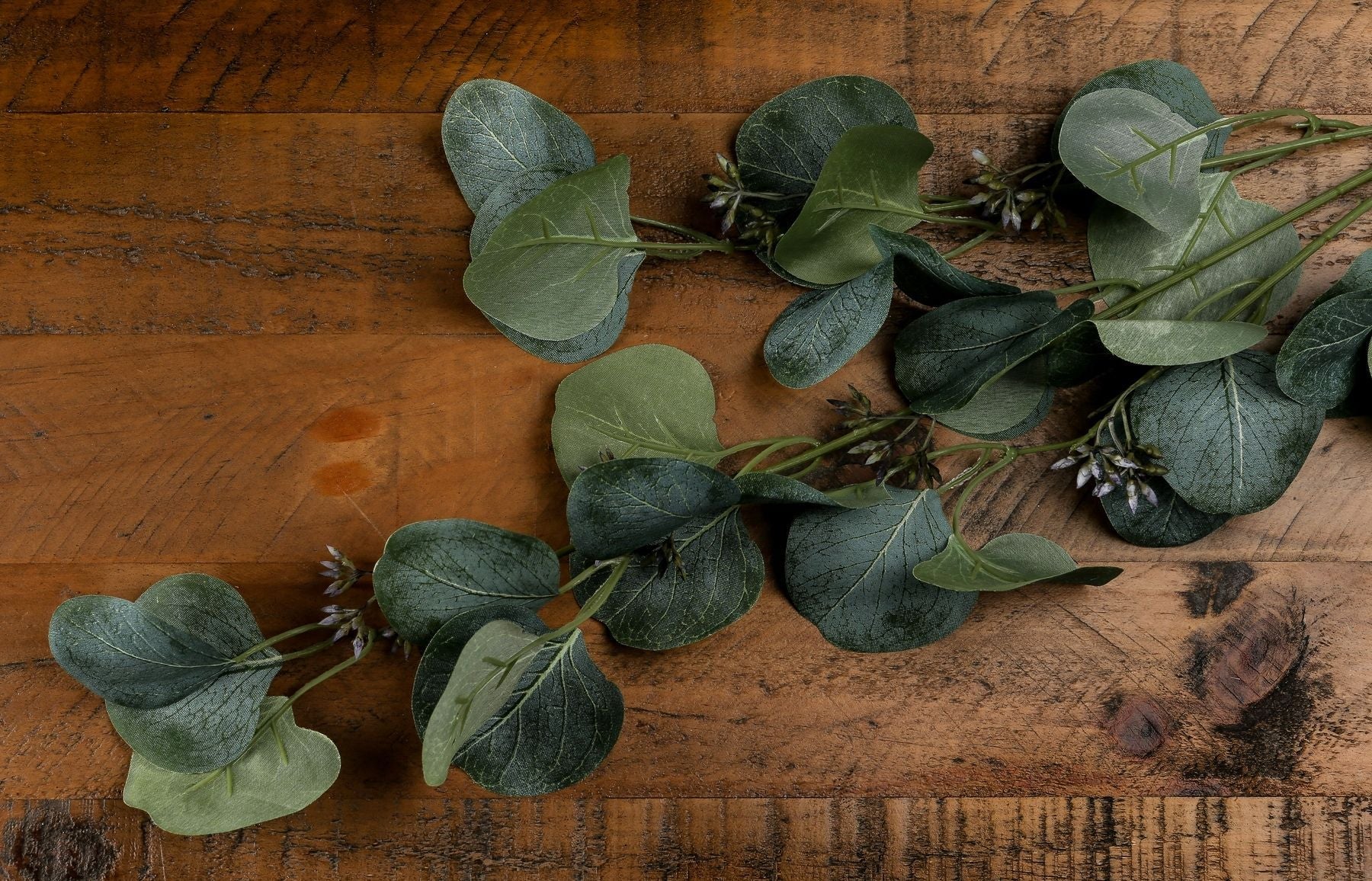 Eucalyptus Stem Spray for Refreshing Home Decor - Darlington's Décor
