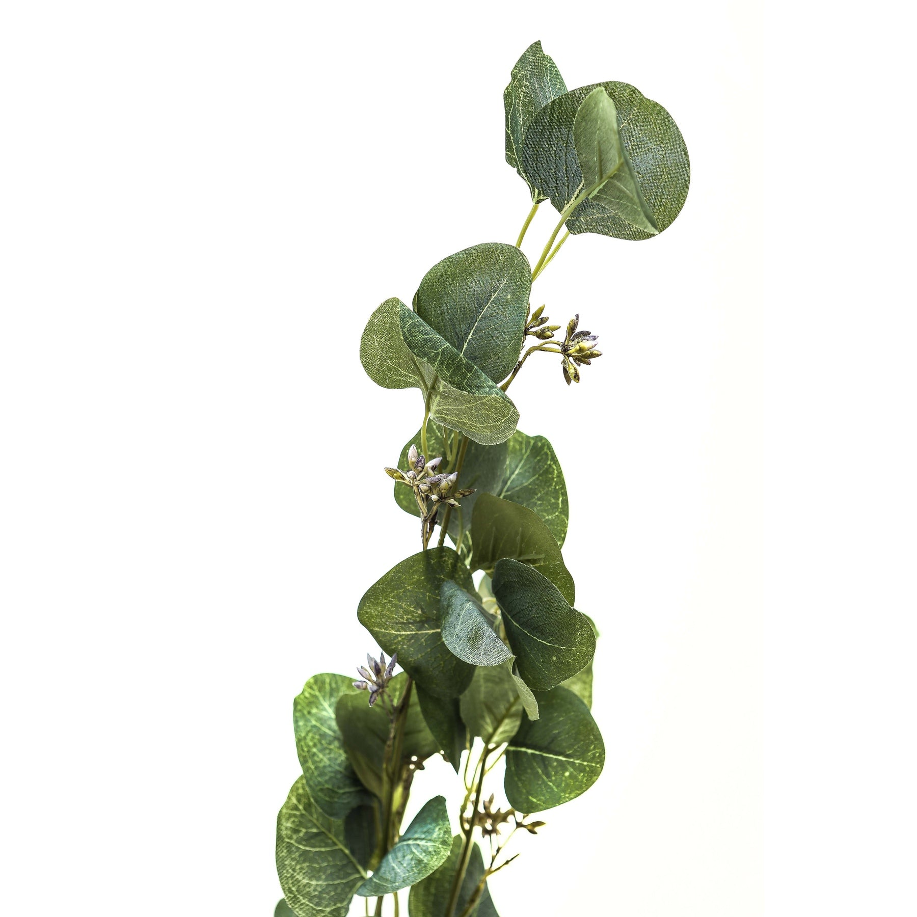 Eucalyptus Stem Spray for Refreshing Home Decor - Darlington's Décor