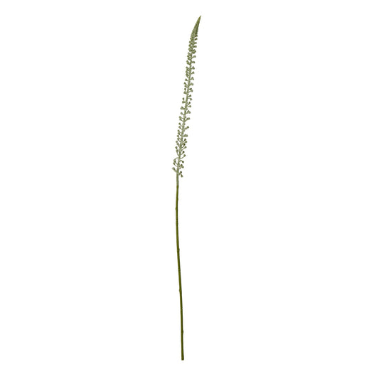 Exquisite White Eremurus Stem for Elegant Arrangements - Darlington's Décor
