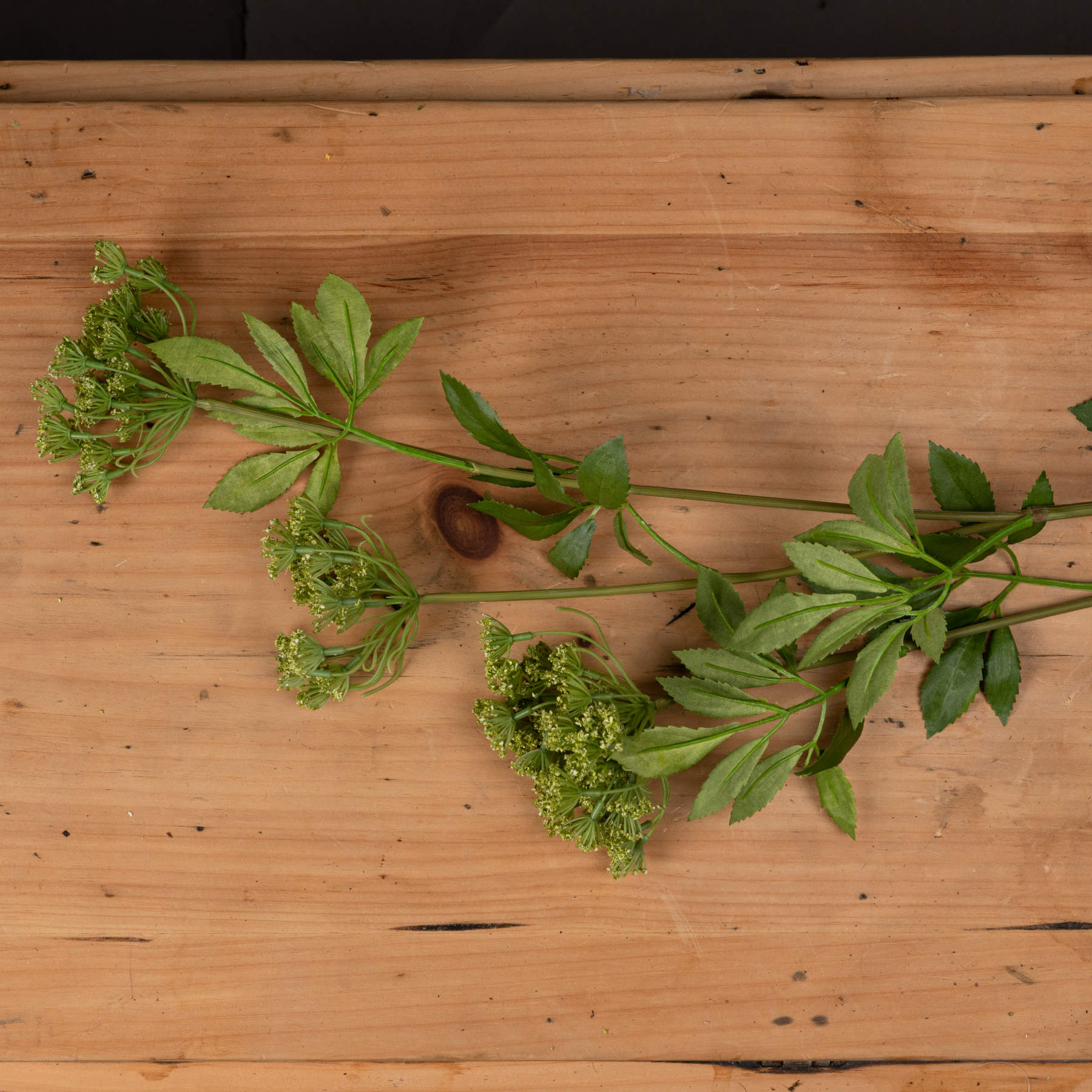 Faux Cow Parsley Ammi for Timeless Floral Arrangements - Darlington's Décor
