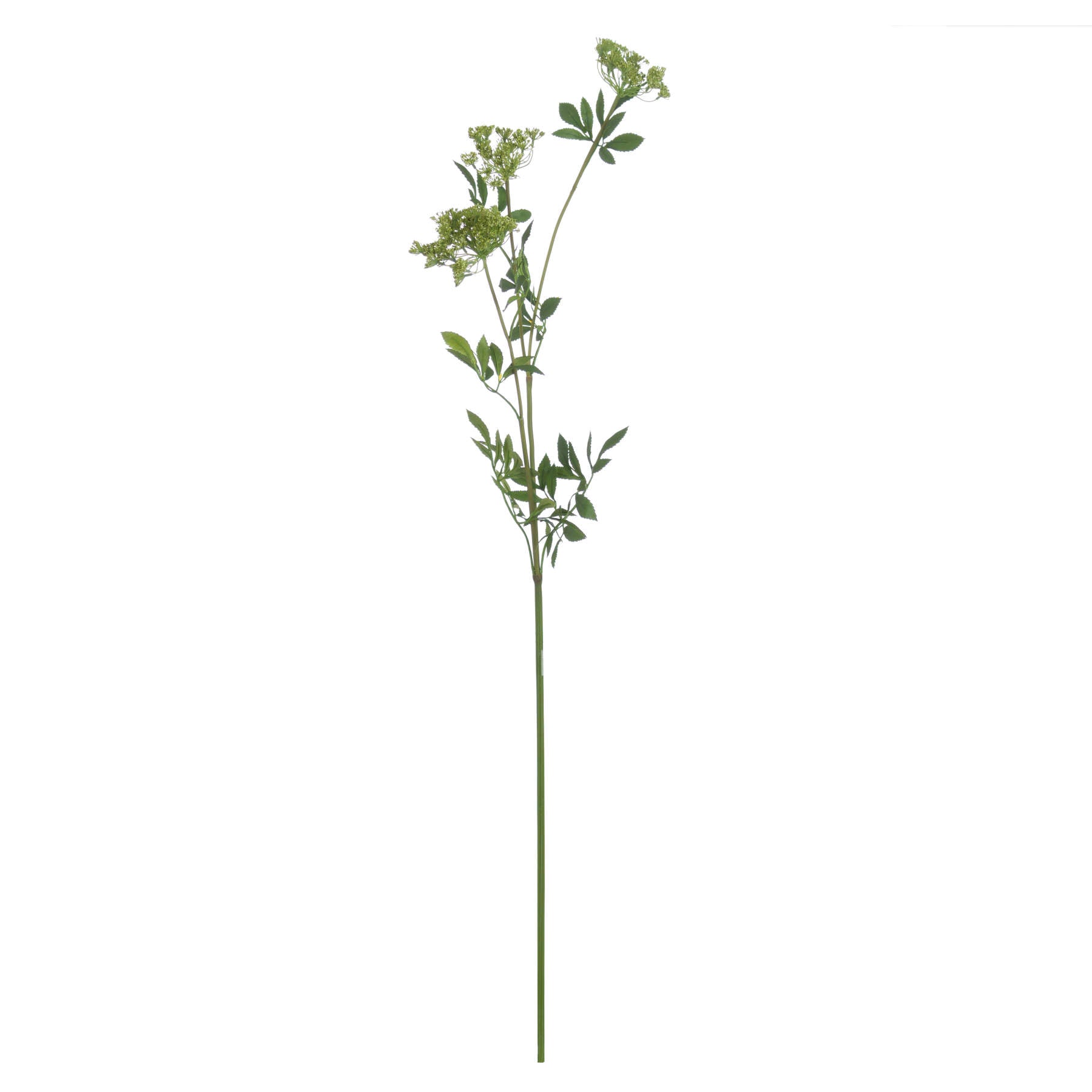 Faux Cow Parsley Ammi for Timeless Floral Arrangements - Darlington's Décor