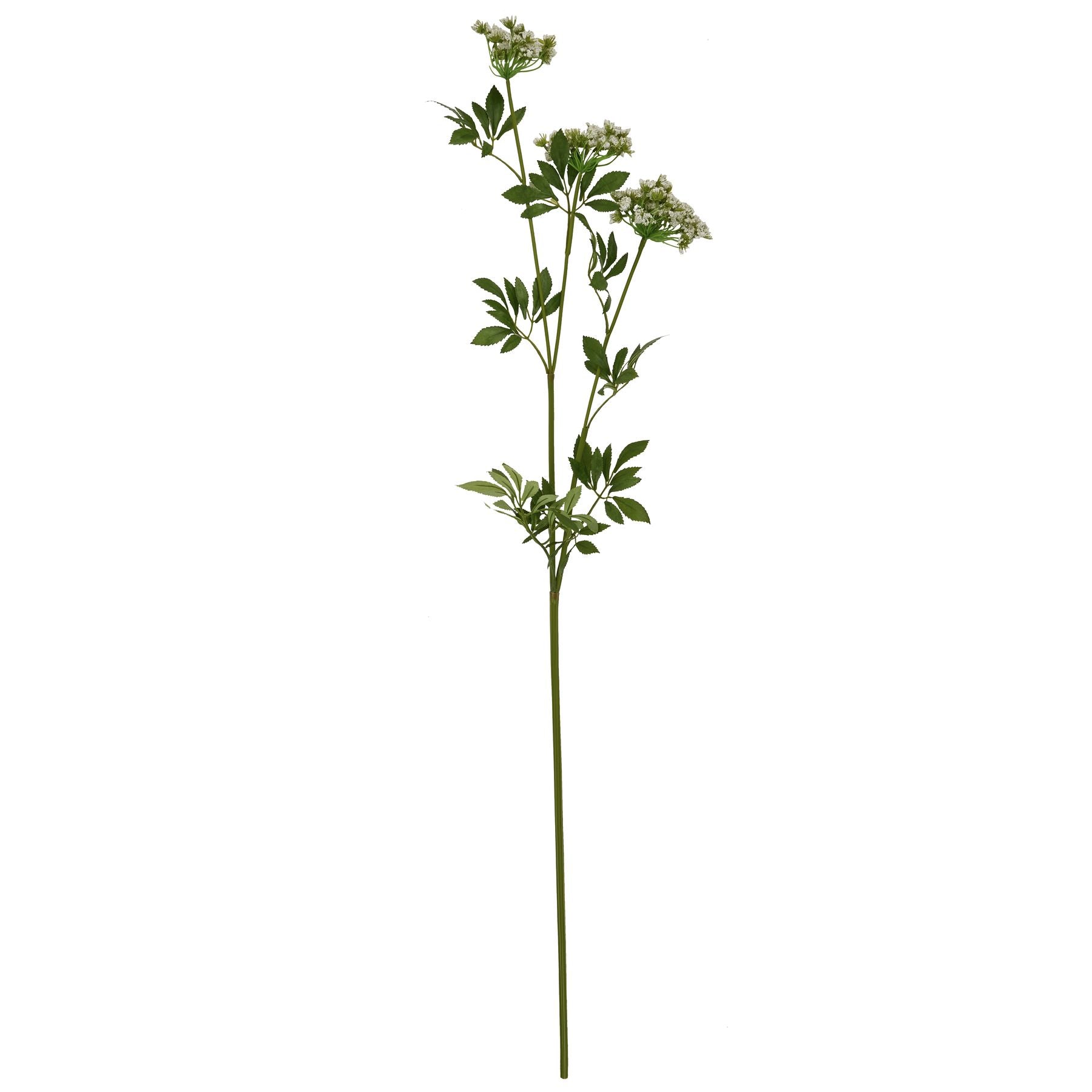 Faux White Cow Parsley Ammi for Effortless Elegance - Darlington's Décor