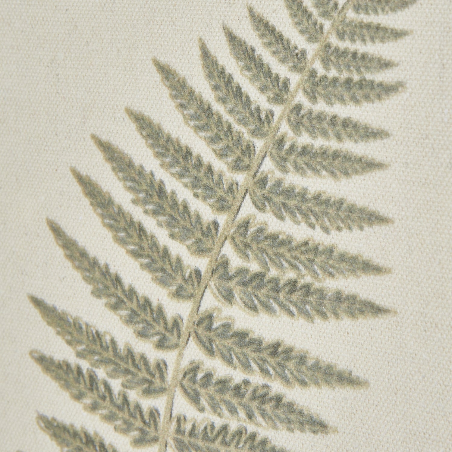 Fern Art On Texture - Torn Paper With Beaded Frame Elegance - Darlington's Décor