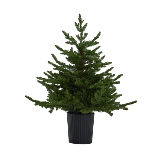 Green Forest Fir Pre - Lit Led 300L Christmas Tree In Pot - Darlington's Décor